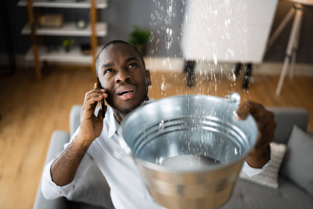 Best Local water damage restoration  in Cokato, MN