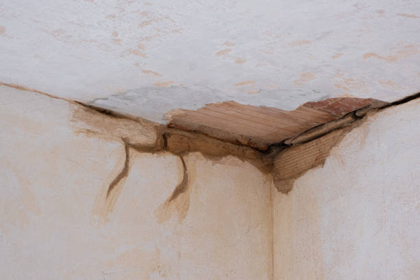 Water damage restoration insurance claims in Cokato, MN