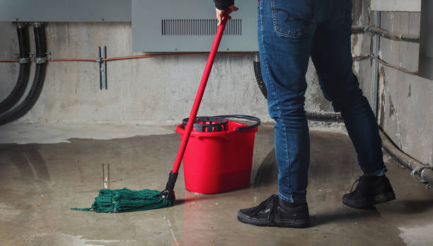 Best Residential water damage restoration  in Cokato, MN