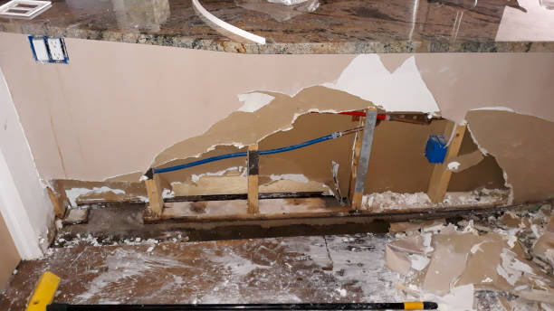Best Water damage restoration company  in Cokato, MN