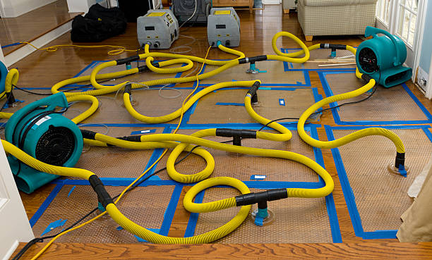 Water damage restoration process in Cokato, MN