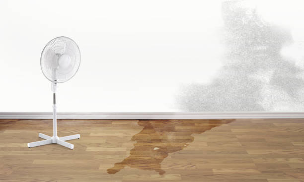 Best Flood restoration services  in Cokato, MN