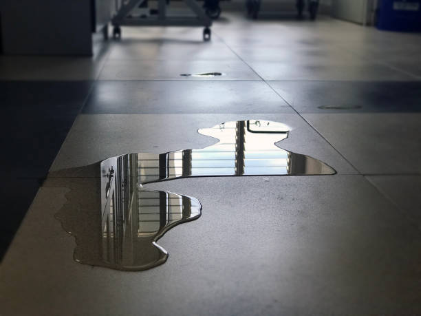 Best Water damage cleanup near me  in Cokato, MN