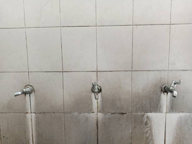 Best Fire Damage Restoration  in Cokato, MN