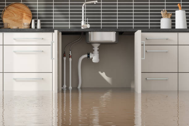 Best Professional water damage repair  in Cokato, MN