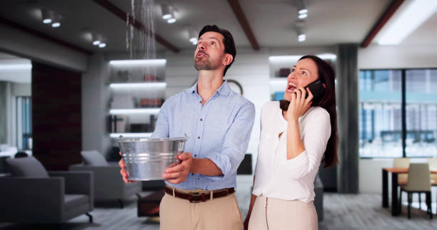 Best Water damage mitigation services  in Cokato, MN